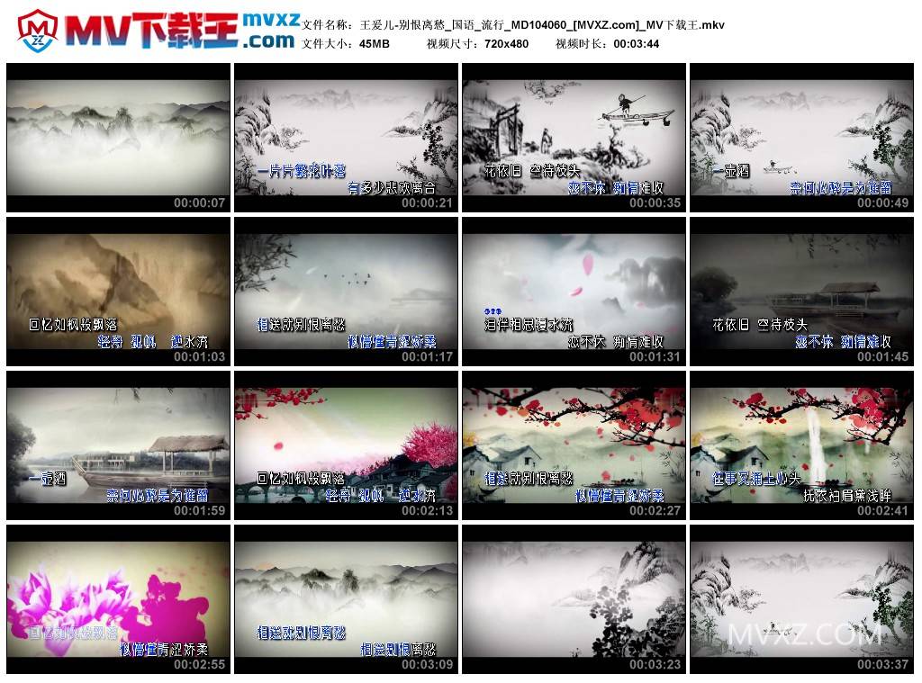 王爰儿-别恨离愁_国语_流行_MD104060